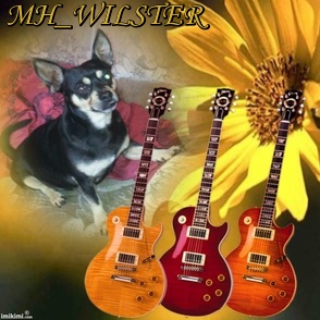 MH_WILSTER